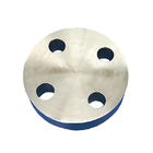 1.8846 Blind Pipe Flanges S355MLH  Pipe Forged Flanges Steel Forged Blind  Flanges
