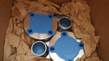 1.4404  316 L Forged Steel Flanges With 1.4571  Stainless Steel Material