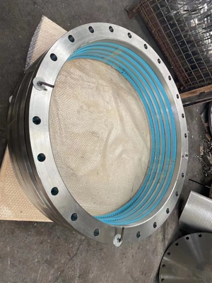 304L Stainless Steel Weld Neck Flange PN16 EN1092-1 ASA150 WN Flange