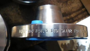 1.4404  316 L Forged Steel Flanges With 1.4571  Stainless Steel Material
