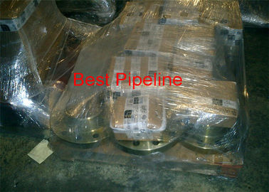 Lap Joint Raised Face Weld Neck Flange 304L Material 300LBS Pressure API/CE Approval