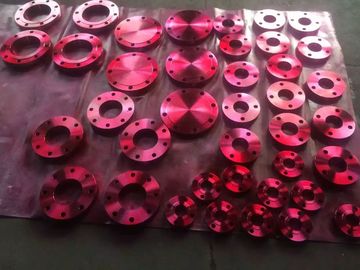 Durable Large Diameter Steel Flanges , Forged Steel Tank Flanges 304L Material